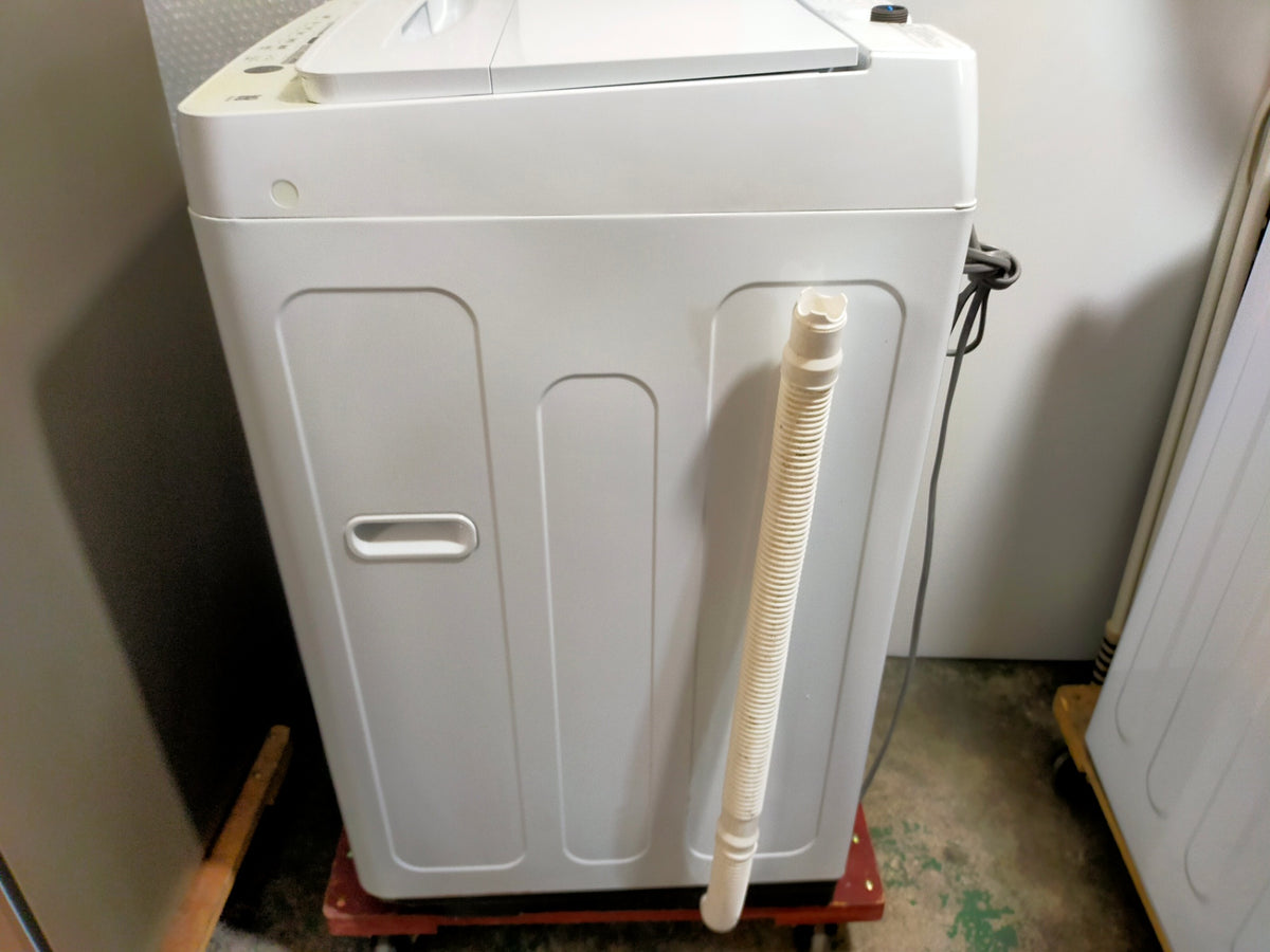 【深草店】洗濯機 ハイセンス HW-T55H 5.5kg 2024年製