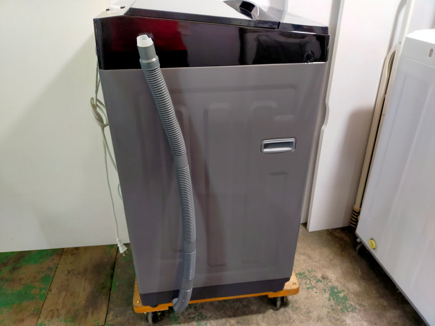 【深草店】洗濯機 ニトリ NTR60 6.0kg 2022年製